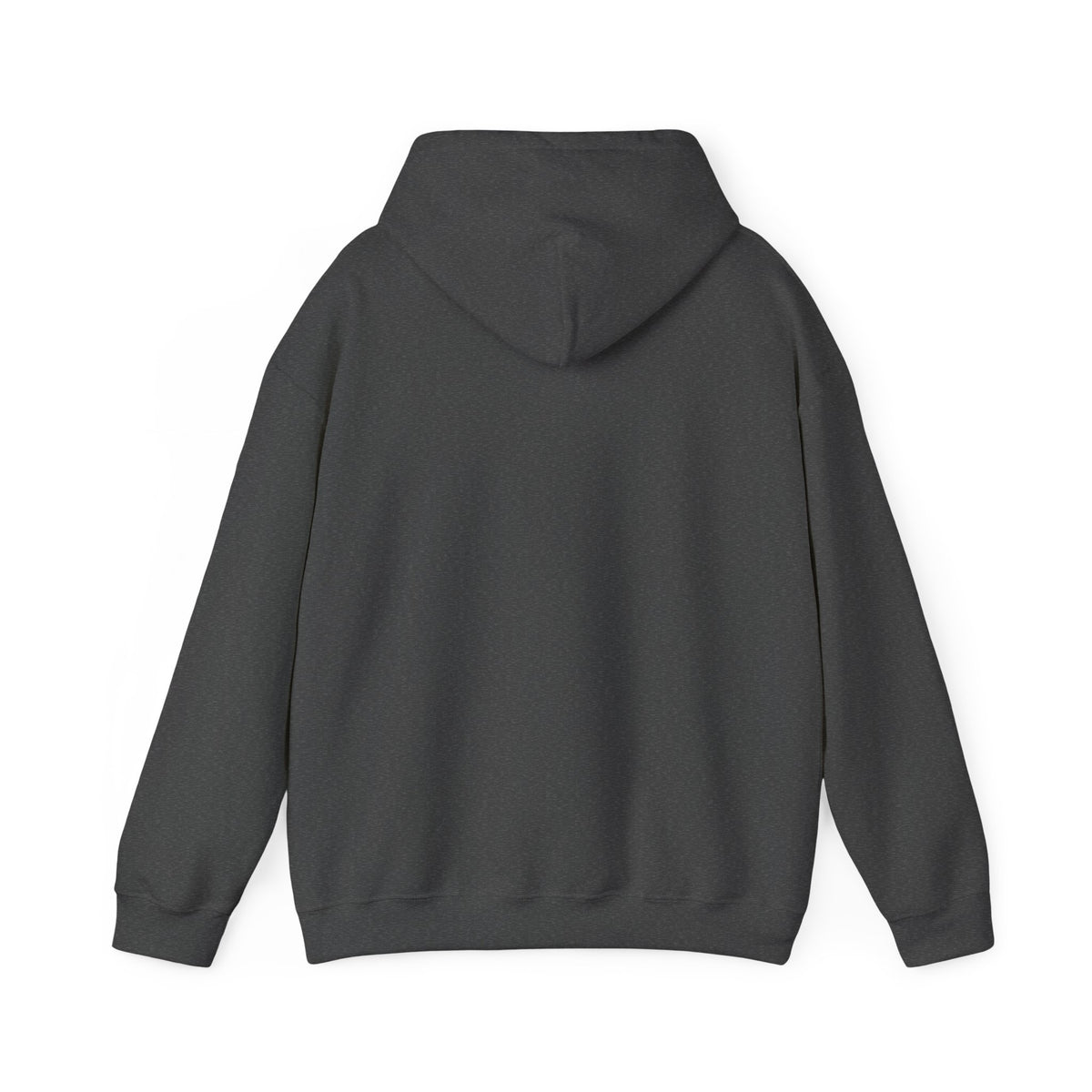 He Can & He Will | Laides' Heavy Blend™ Hooded Sweatshirt