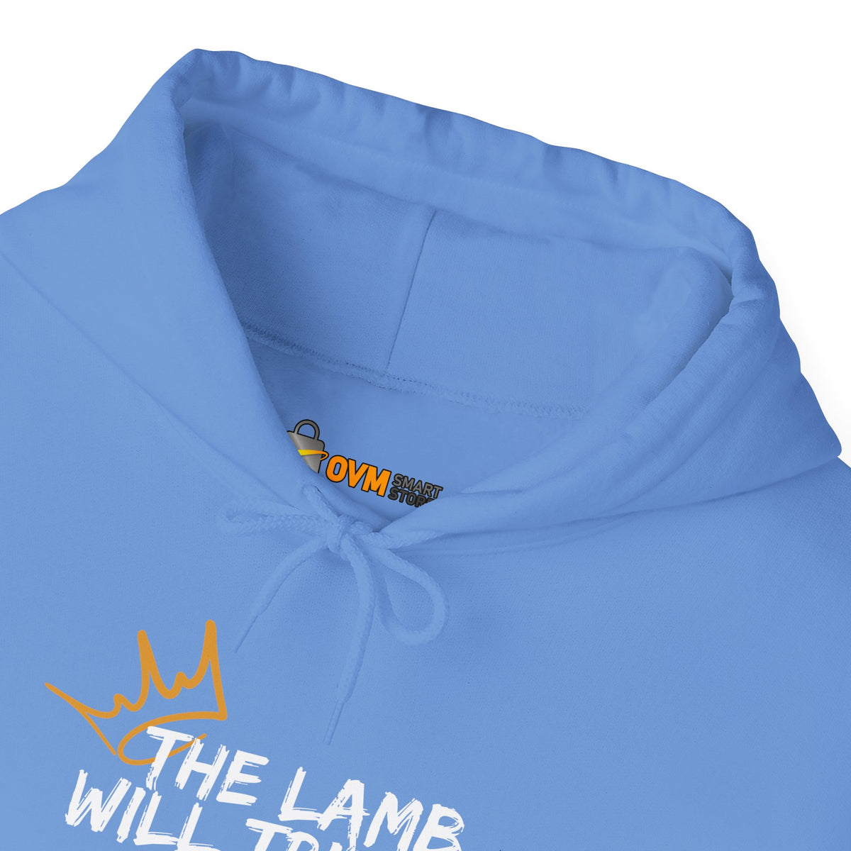 The Lamb Will Triumph Ver.2- Unisex Heavy Blend™ Hooded Sweatshirt